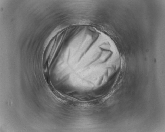 X0000071850195200607290141