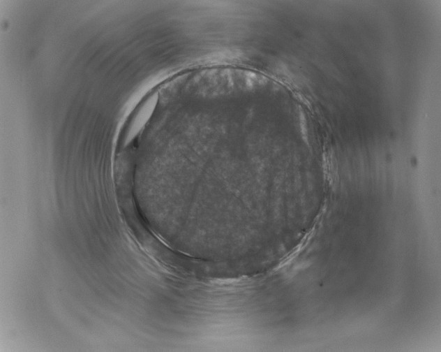 X0000071850196200607290141