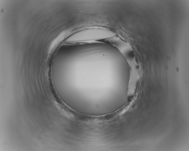 X0000071850197200607290141