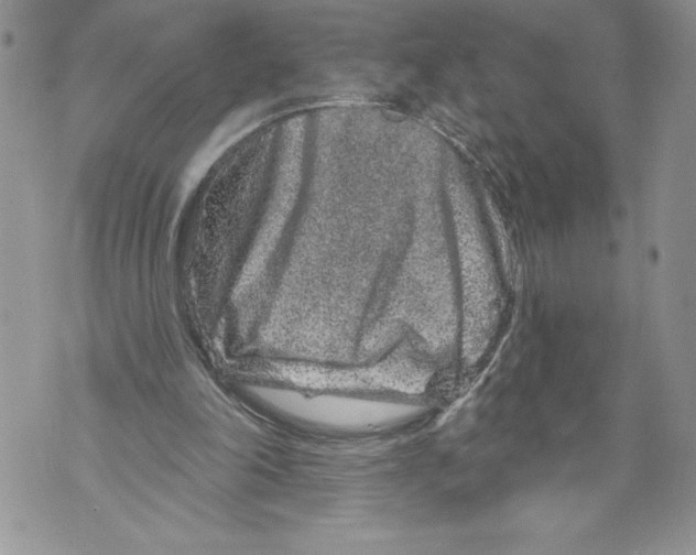 X0000071850198200607290141