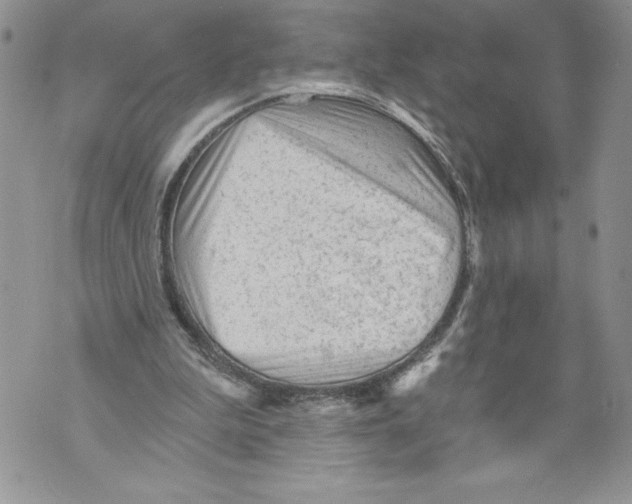 X0000071850199200607290141