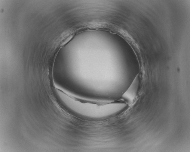 X0000071850201200607290141