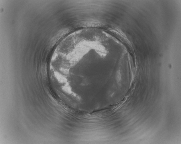 X0000071850202200607290141