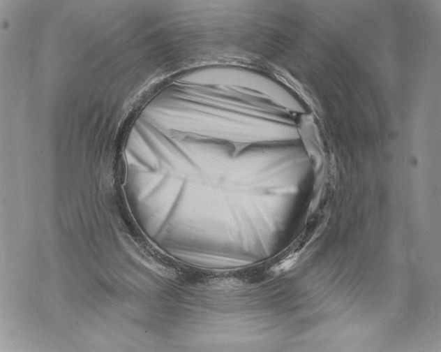 X0000071850203200607290141