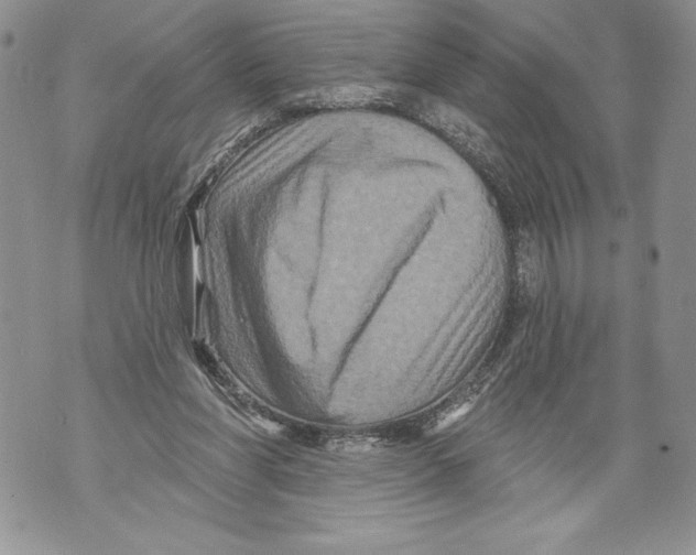 X0000071850206200607290141