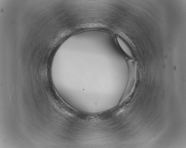 X0000071850207200607290141