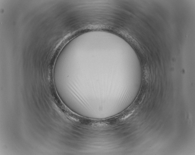 X0000071850208200607290141