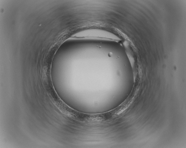 X0000071850209200607290141