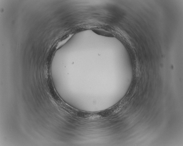 X0000071850210200607290141