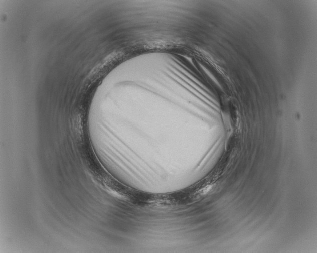 X0000071850211200607290140