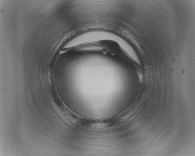 X0000071850212200607290140