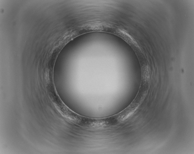 X0000071850213200607290140