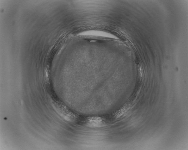 X0000071850214200607290140