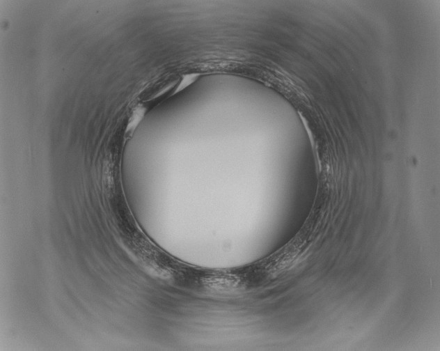 X0000071850215200607290140