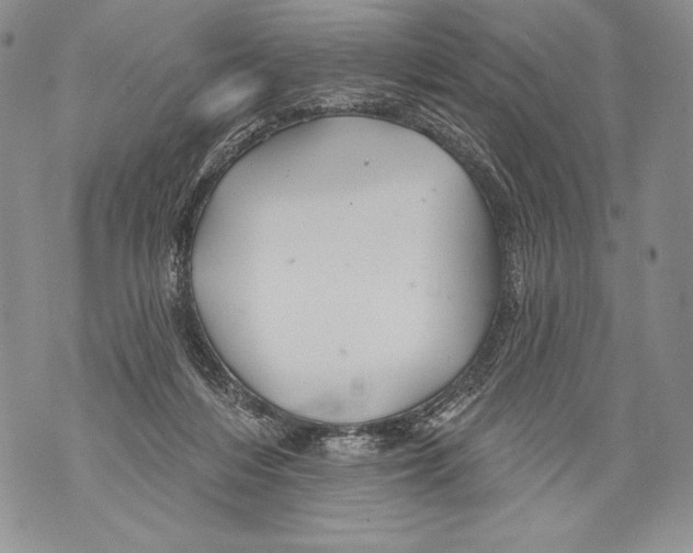 X0000071850216200607290140