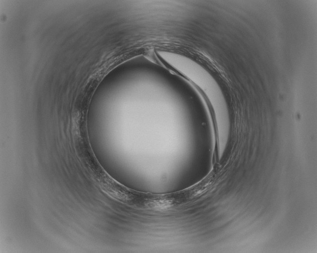 X0000071850217200607290140