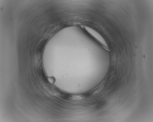 X0000071850218200607290140