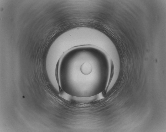 X0000071850219200607290140