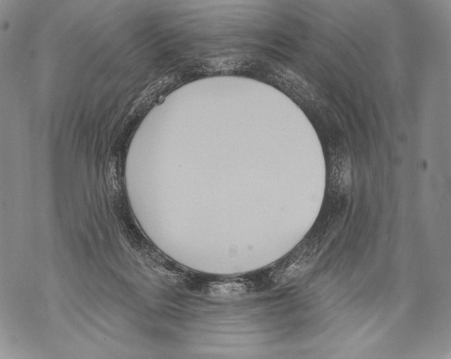 X0000071850220200607290140