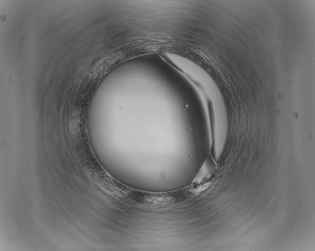 X0000071850221200607290140