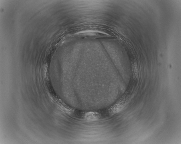 X0000071850222200607290140