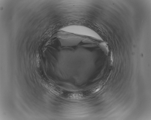 X0000071850223200607290140