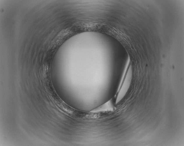 X0000071850225200607290140