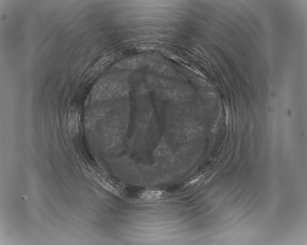 X0000071850227200607290140