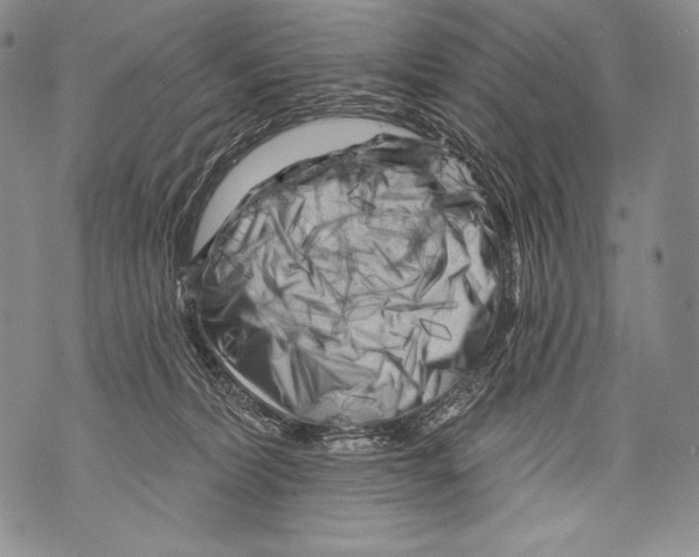 X0000071850228200607290140