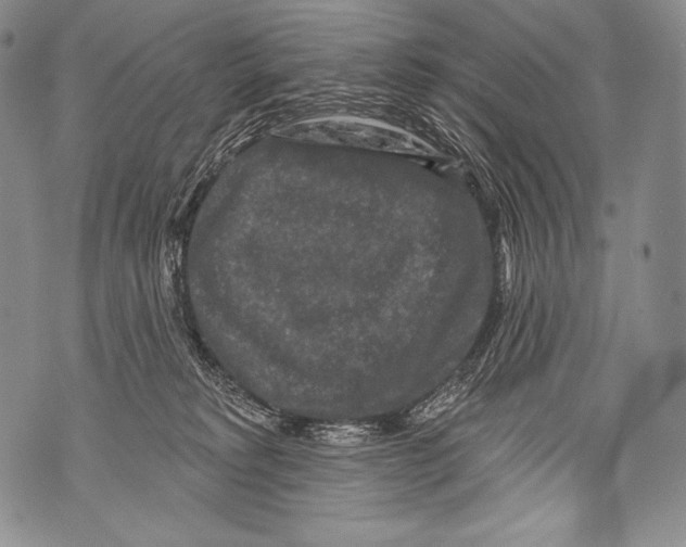 X0000071850229200607290140