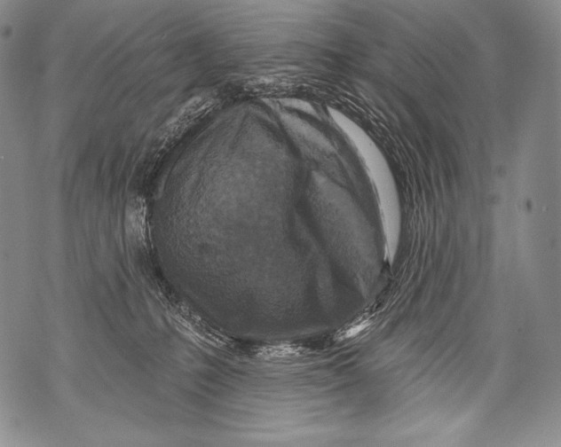 X0000071850231200607290140