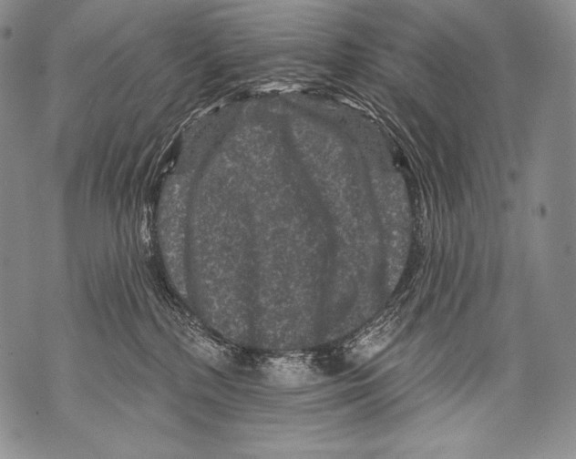 X0000071850232200607290140