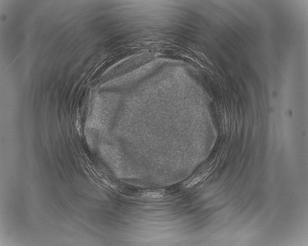 X0000071850236200607290140