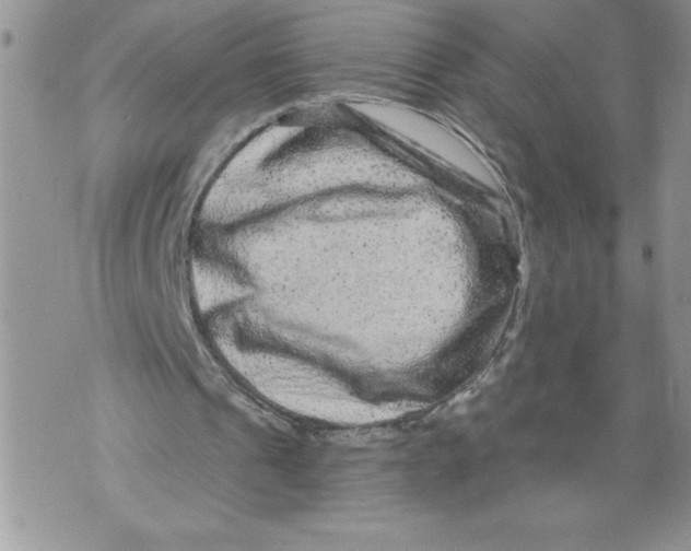 X0000071850241200607290139