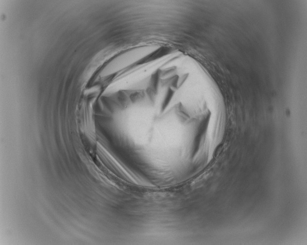 X0000071850242200607290139