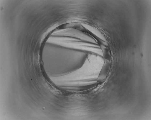 X0000071850244200607290139