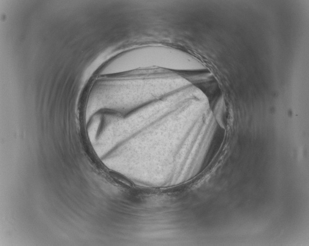 X0000071850246200607290139