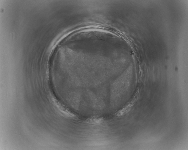 X0000071850247200607290139