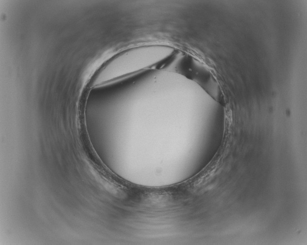 X0000071850248200607290139