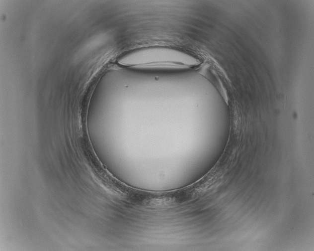 X0000071850251200607290139