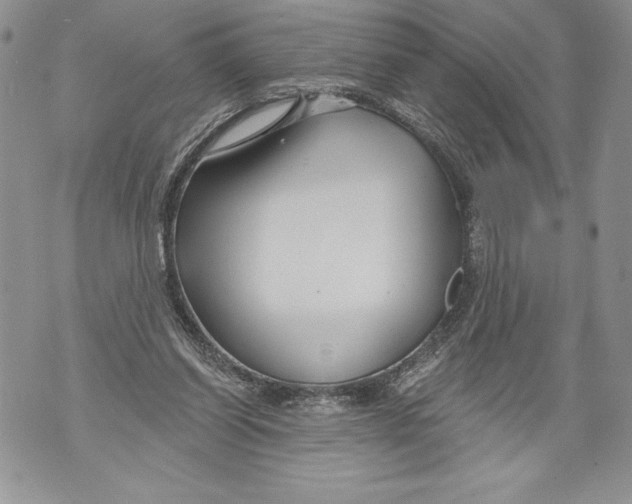 X0000071850254200607290139