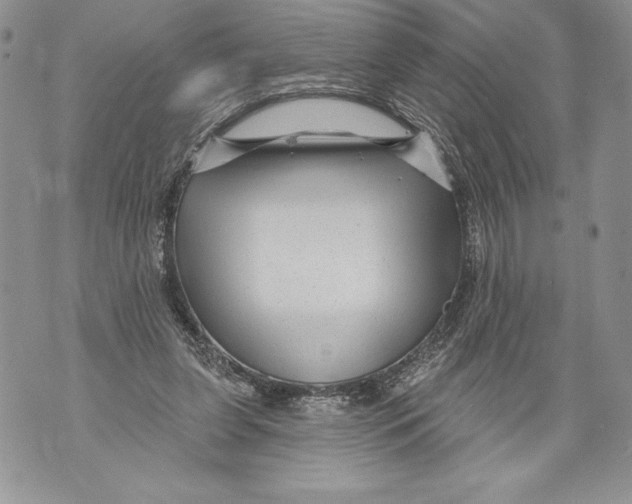 X0000071850255200607290139