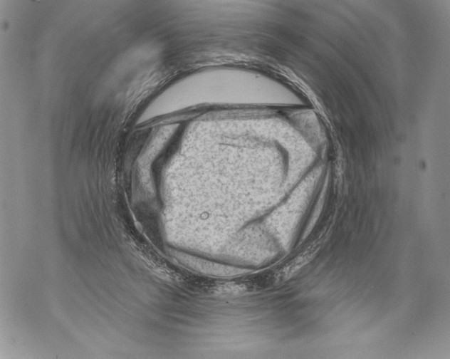 X0000071850257200607290139