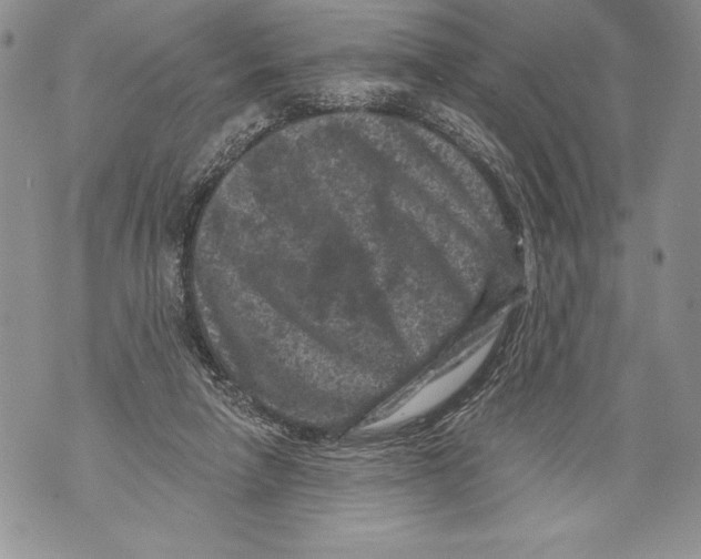 X0000071850258200607290140