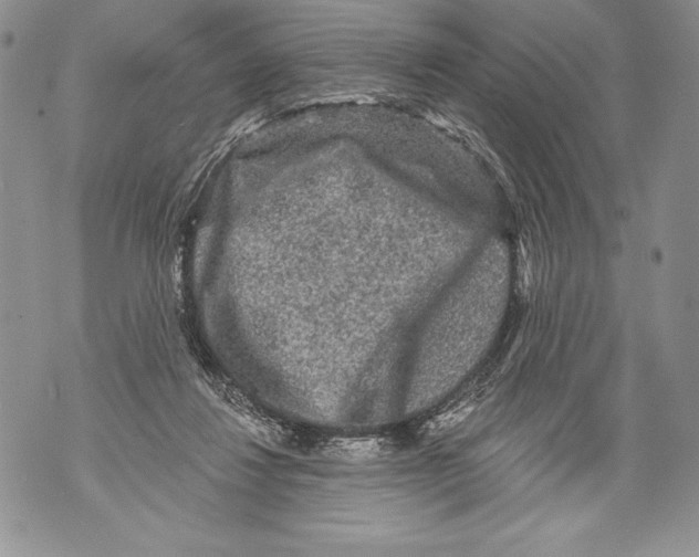 X0000071850260200607290140