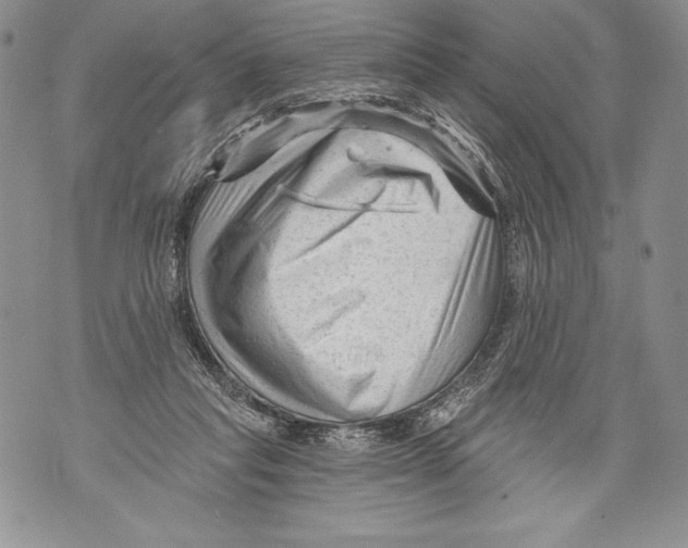 X0000071850261200607290140