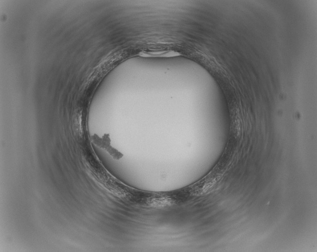 X0000071850262200607290140