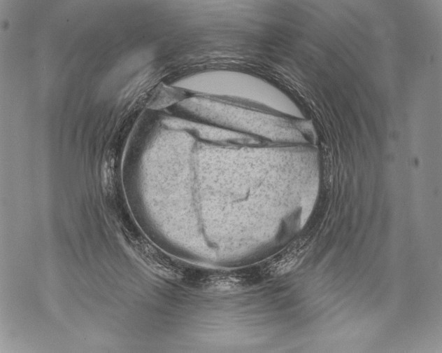 X0000071850263200607290140