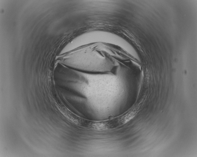 X0000071850265200607290140