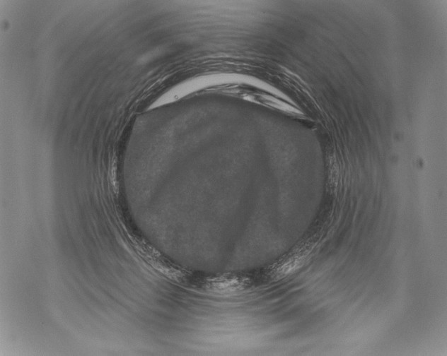 X0000071850267200607290140